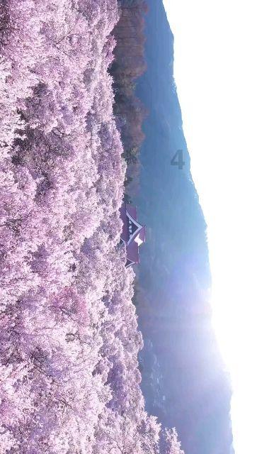 日常照片拼图