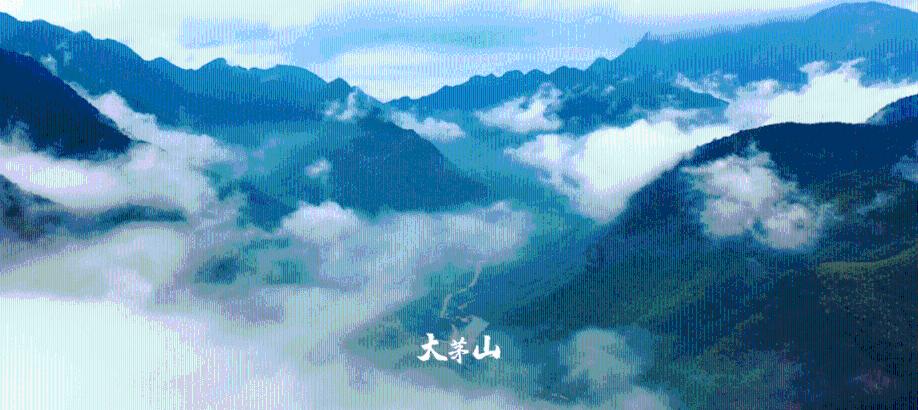 初体计划